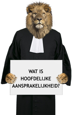 wat is hoofdelijke aansprakelijkheid
