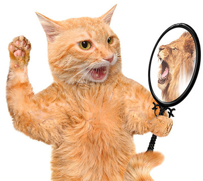 vacature-advocaat-stagiaire-gevorderd