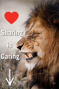 vragen over algemene voorwaarden op website