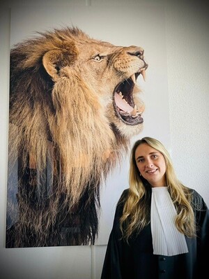 advocaat stagiair Rotterdam